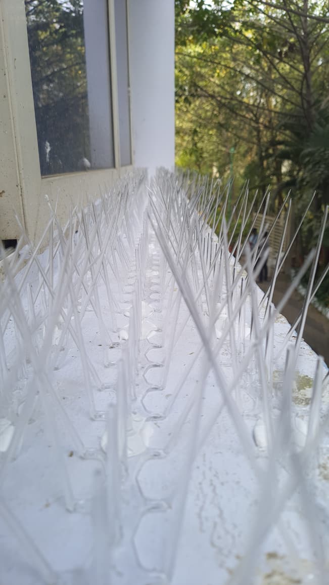 Bird Spikes Installation