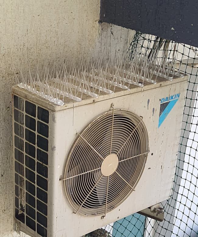 Roof Bird Spikes