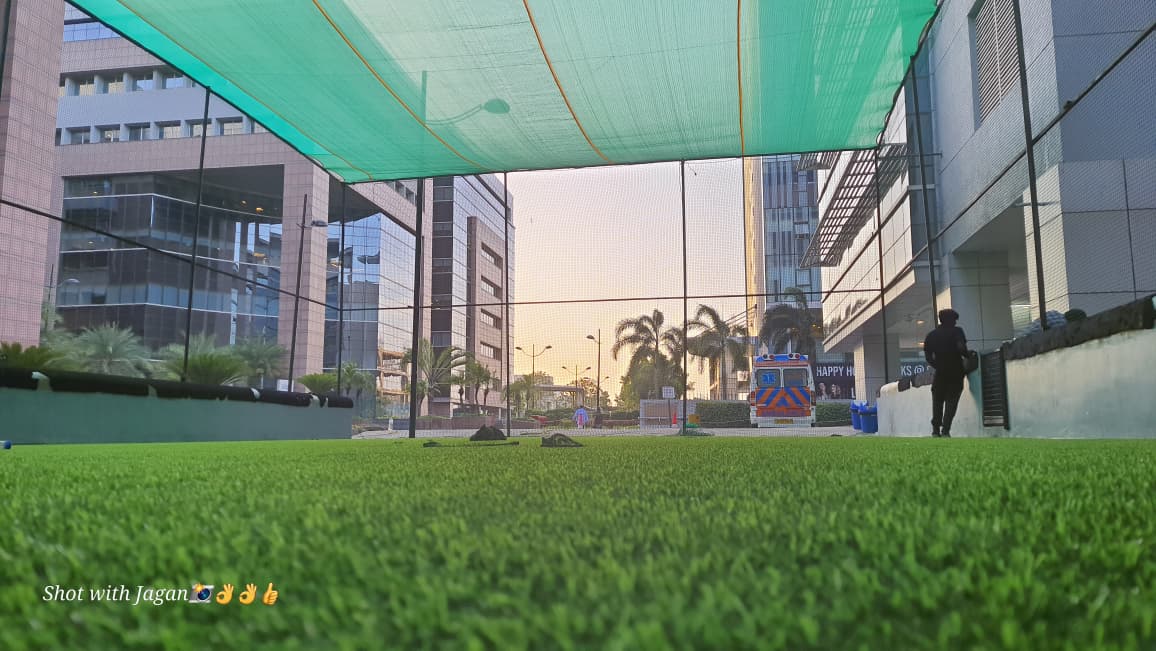Cricket Net