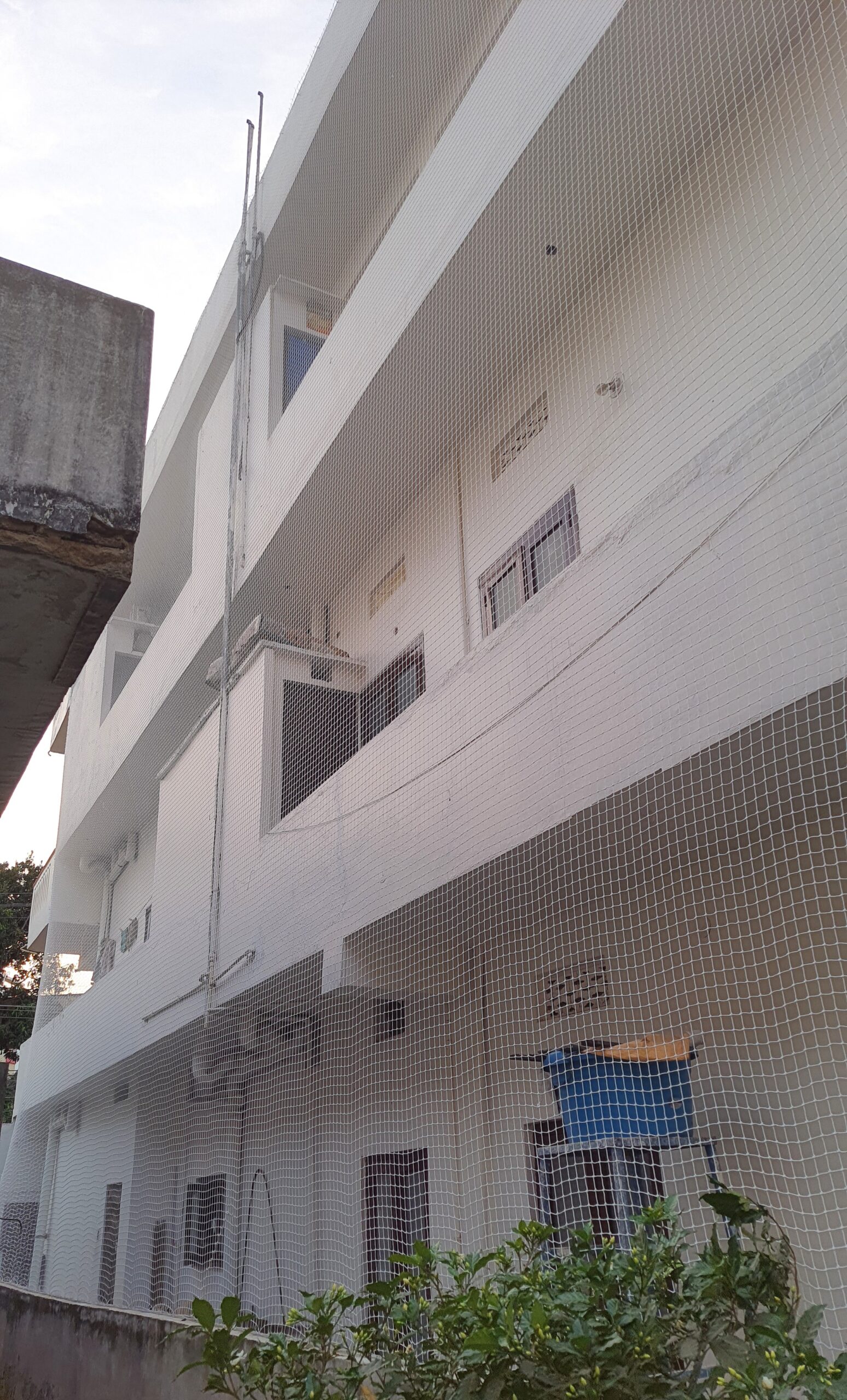 Apartment pigeon nets Vijayawada